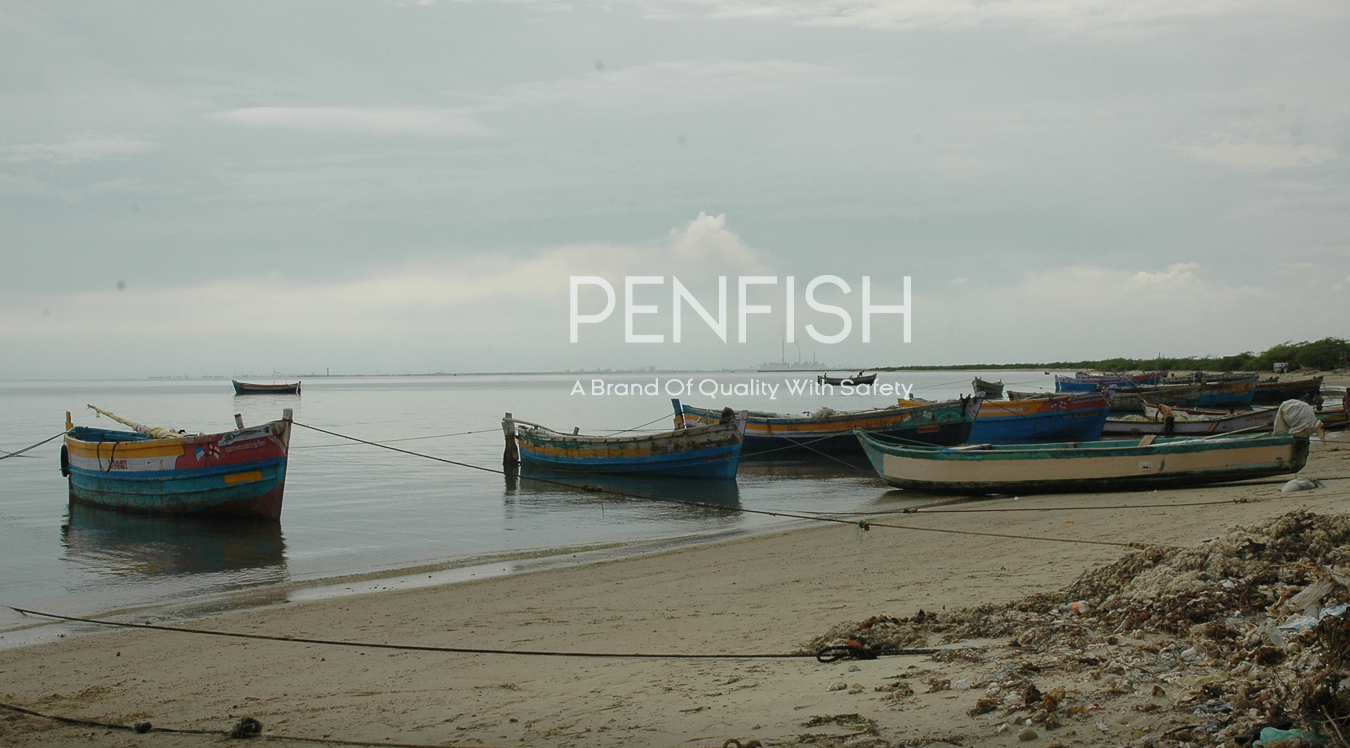 Peninsular Fisheries Pvt Ltd