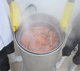 Peninsular Fisheries Pvt Ltd