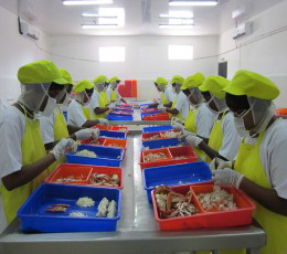 Peninsular Fisheries Pvt Ltd